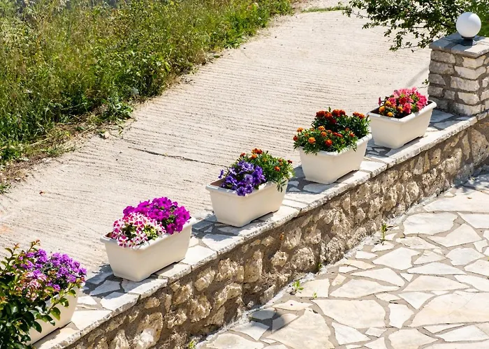 Nikoleta Studio 5