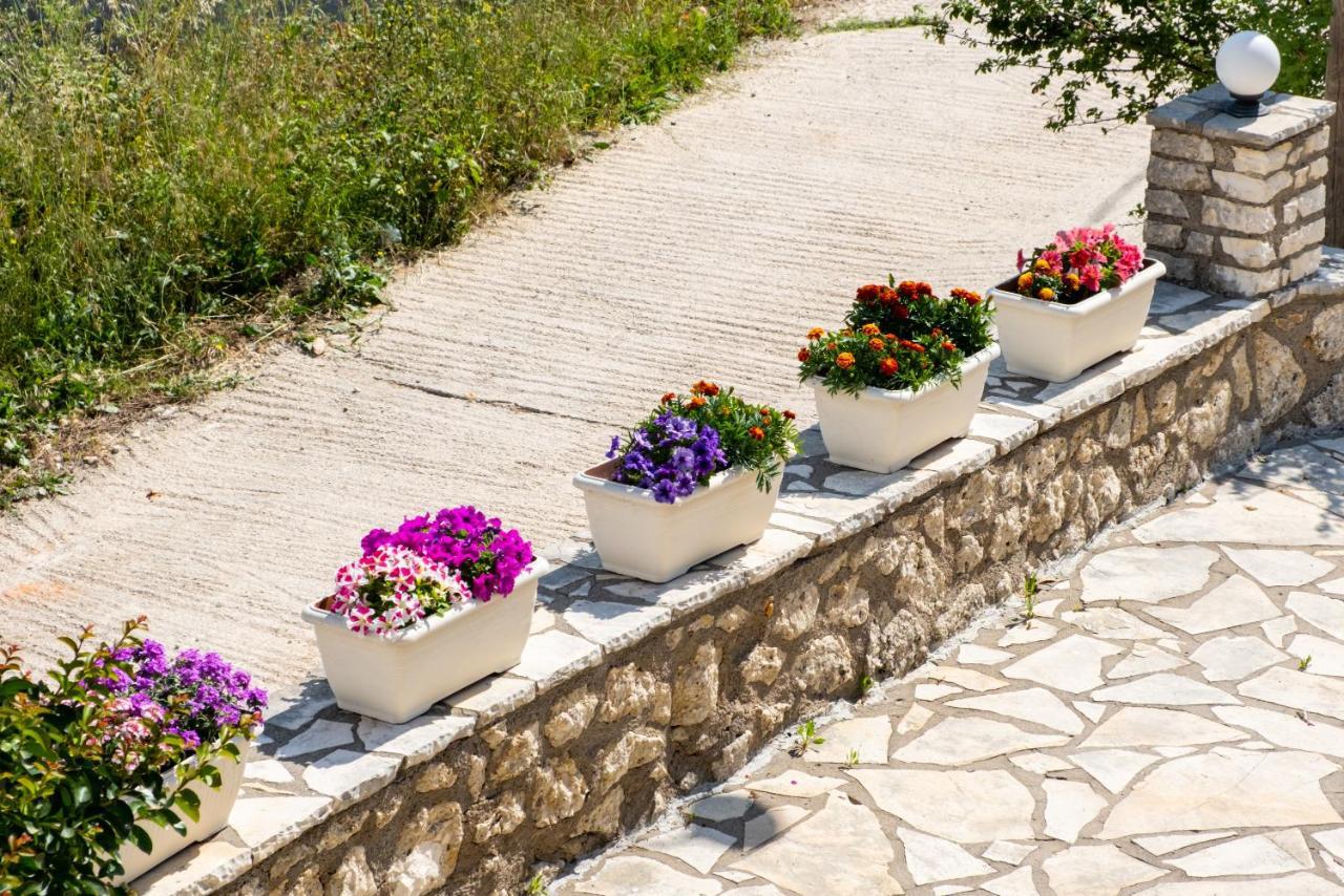 Nikoleta 5 * Nikiana